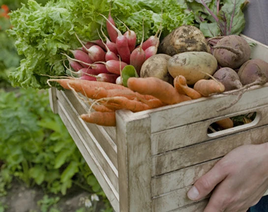 How do nutritional supplements and vitamins help you make Most of Your Day?