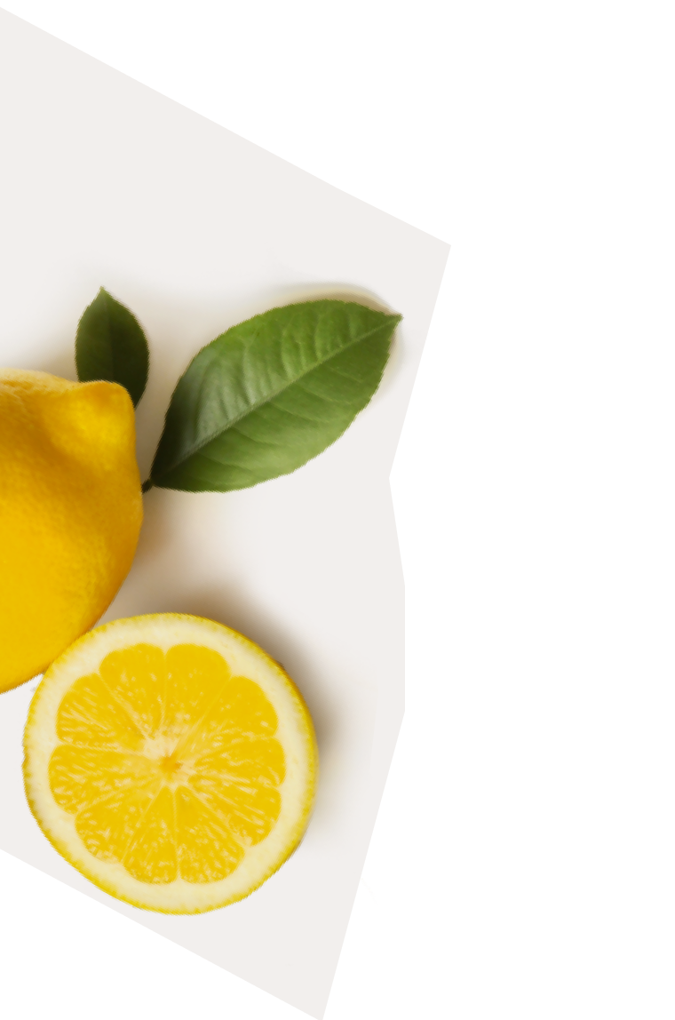 Briyo's Accessible Nutrition Solutions