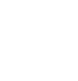 OLDER ADULTS