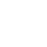 STRUCTURAL RESILIENCE 