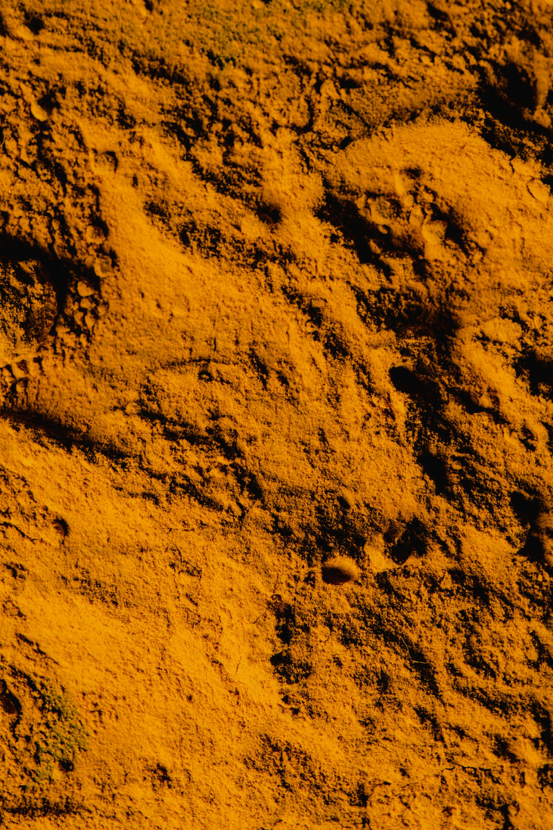 Turmeric Extract